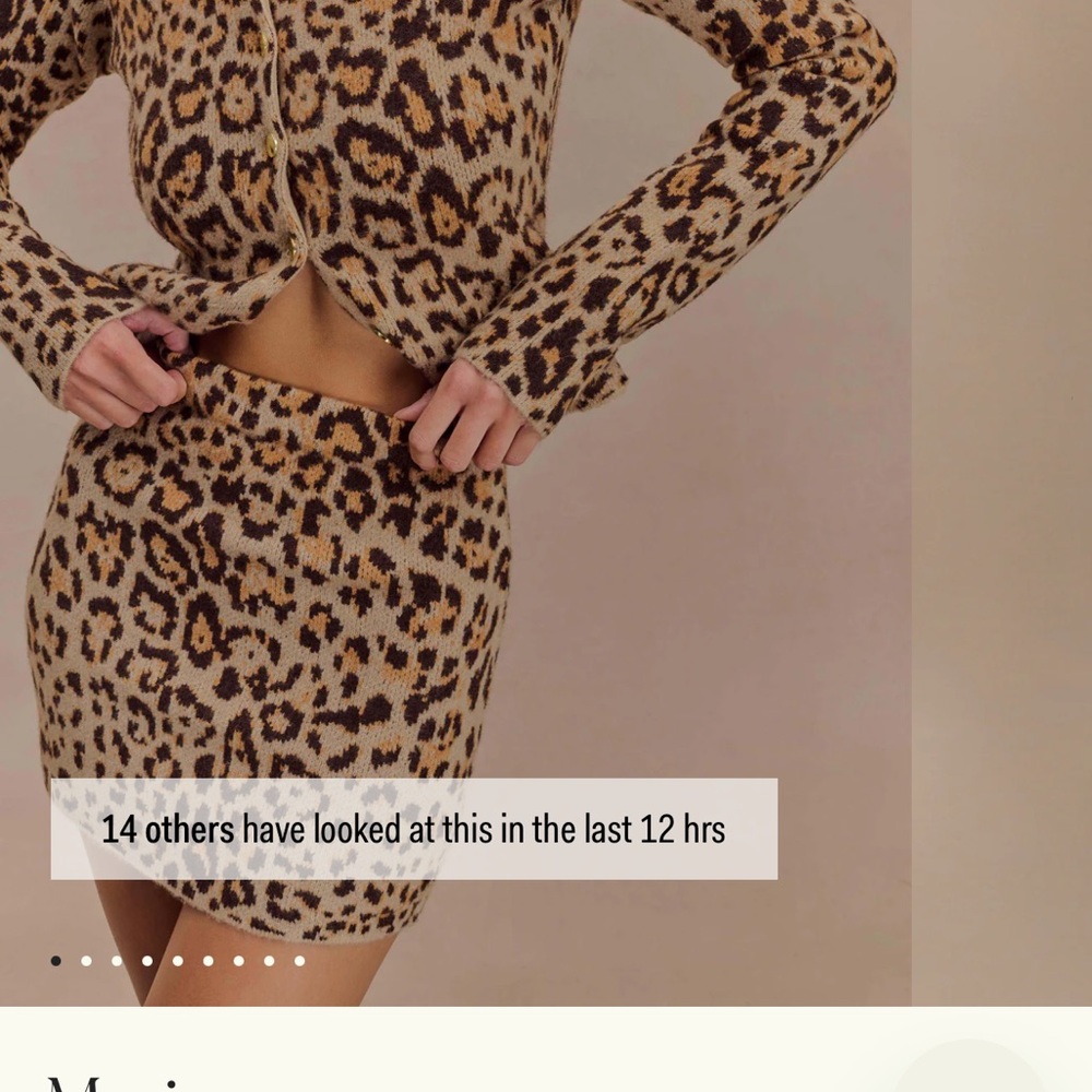 Meshki Leopard Print Dress Set